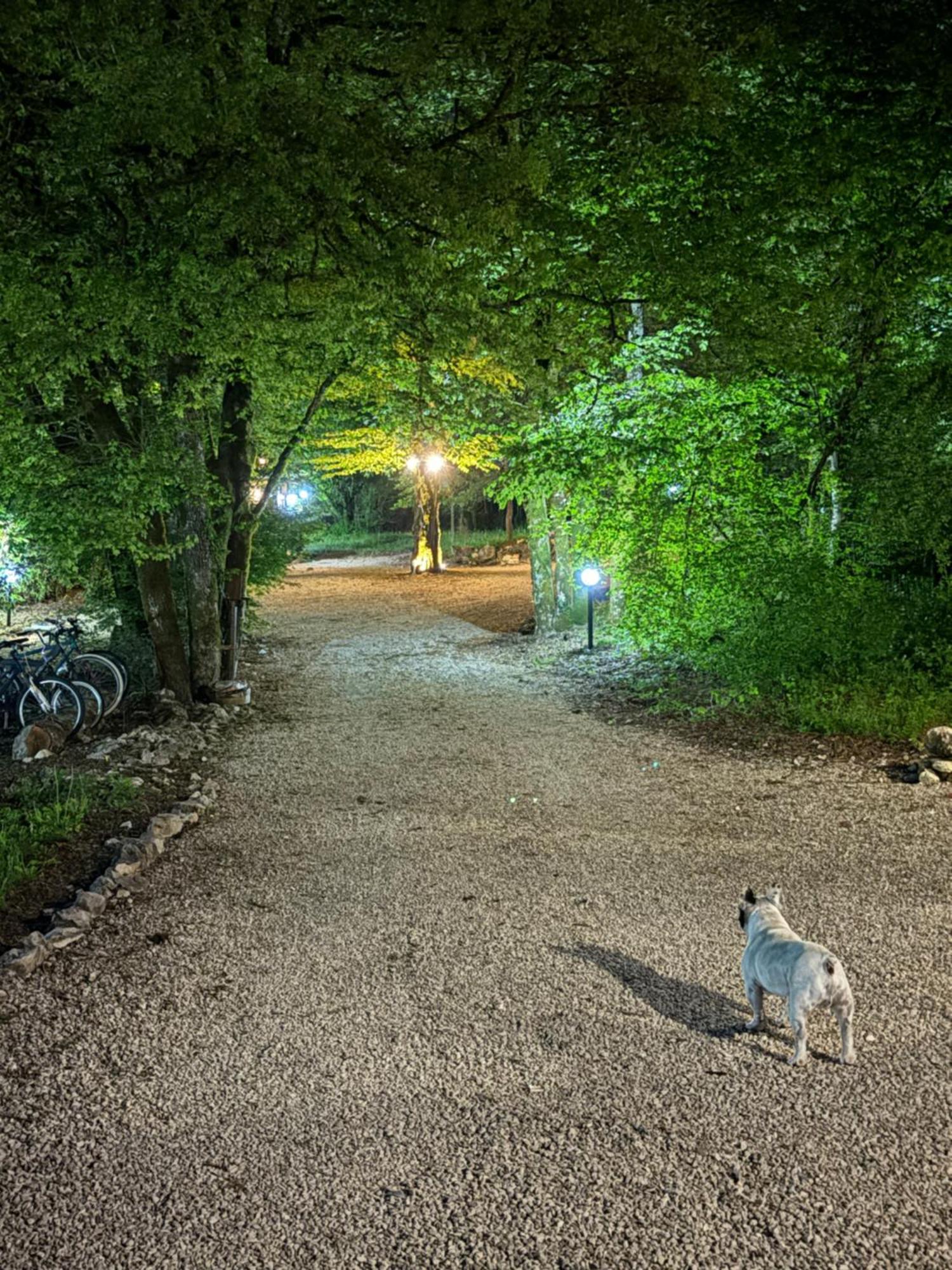 Carpe Diem Retafani Roger'S House アルティピアニ・ディ・アルチナッツォ エクステリア 写真